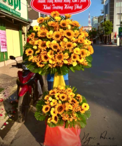 Màu nắng 2