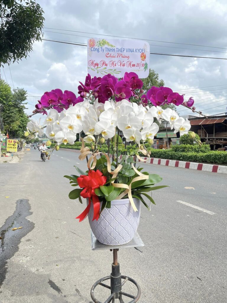 Dịch Vụ Giao Hàng Miễn Phí Đến Mọi Ngóc Ngách 