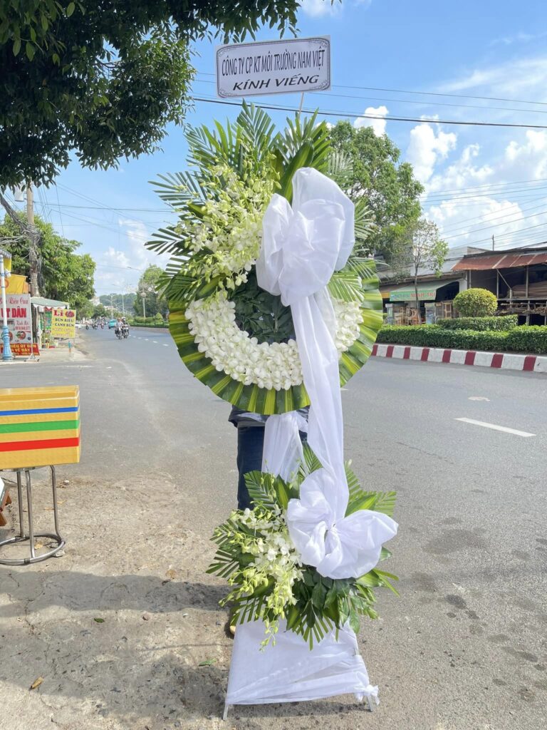  Nét Đẹp Tinh Khiết và Sáng Tạo