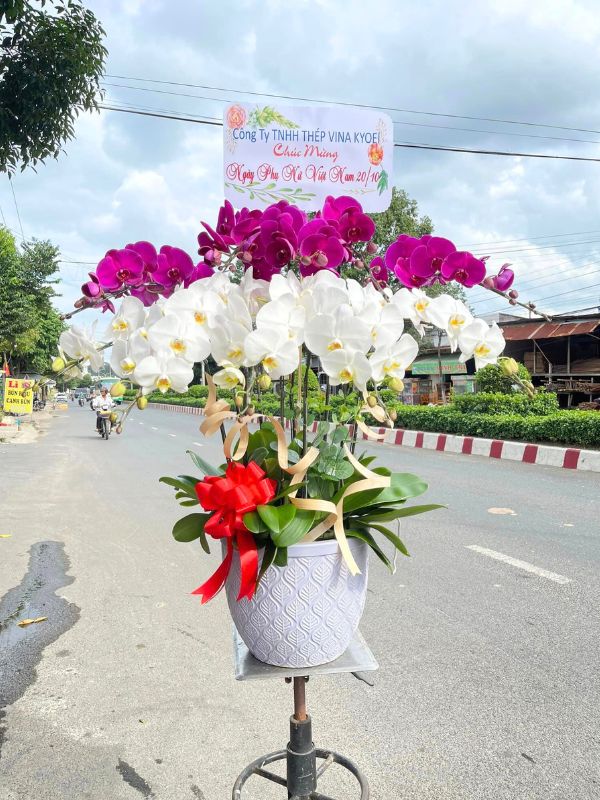 Chất Lượng và Uy Tín Đặt Lên Hàng Đầu