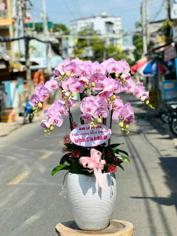 Chương Trình Khuyến Mãi Hấp Dẫn