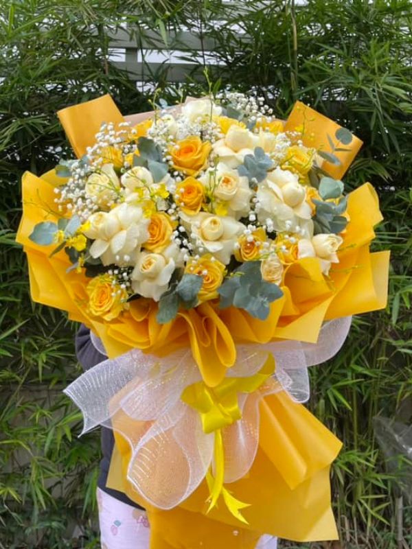 Dịch Vụ Tư Vấn Chuyên Nghiệp