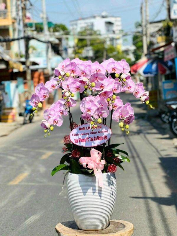 Phong Cách Độc Đáo, Thiết Kế Đẳng Cấp